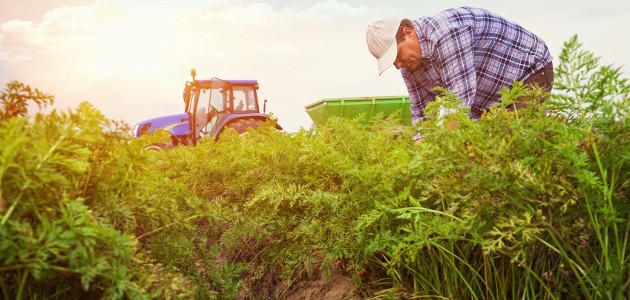 agriculteur dans un champ